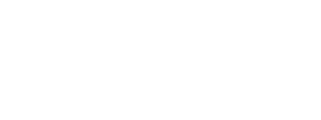 ROKiT Flix